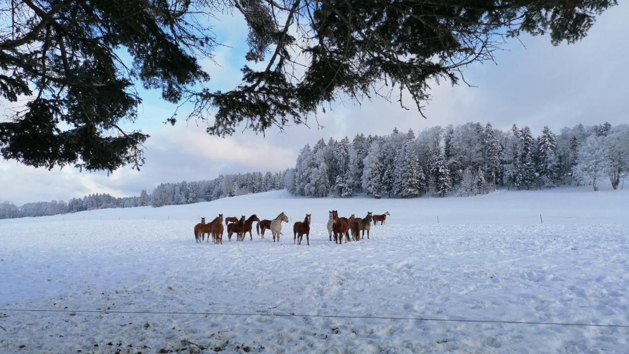 Gite Rural 1666 Saignelégier Eksteriør billede